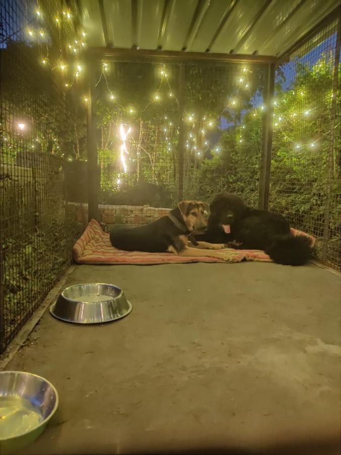 H7Stay Luxury Cottages And Camps, Rishīkesh Exterior foto